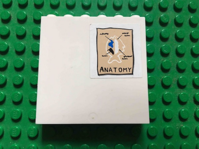 Lego Panel 1 x 6 x 5 with Fish and 'ANATOMY' Pattern (Sticker) - Set 3832