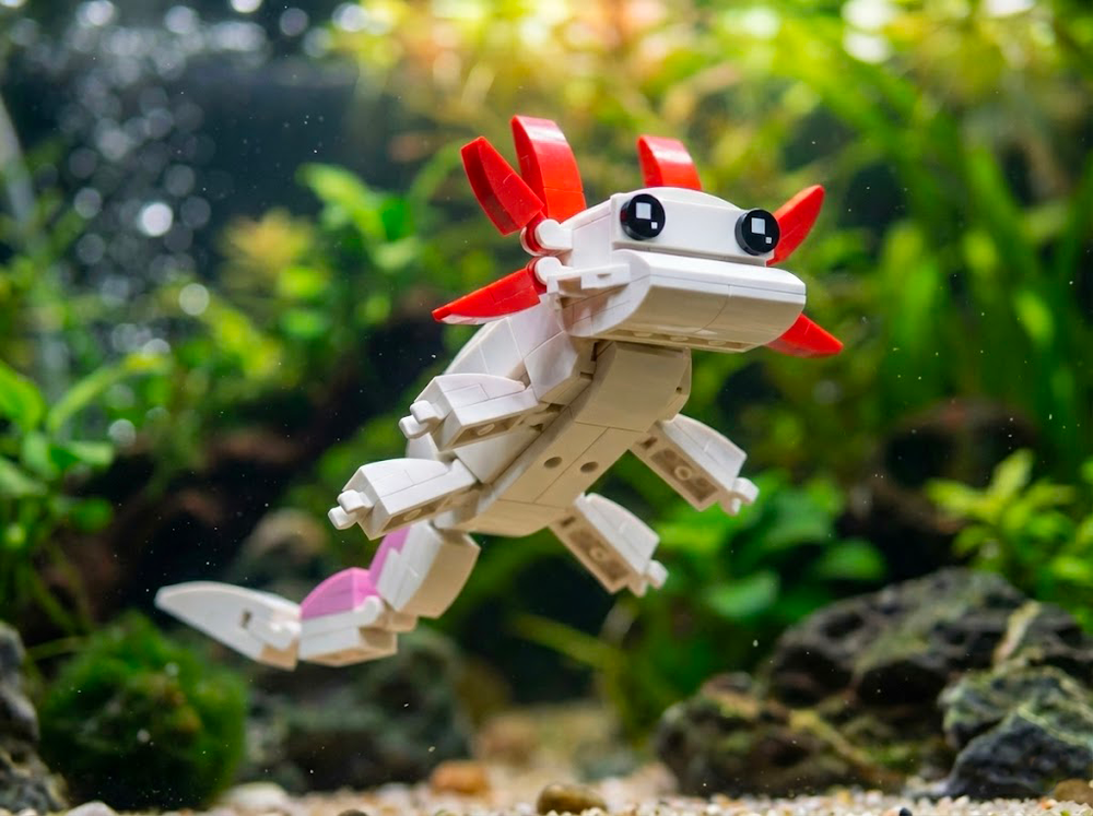 Lego Axolotl (Ambystoma mexicanum)