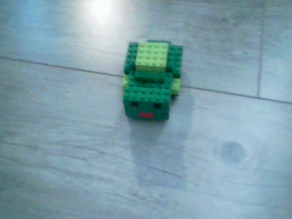 Lego maison-tortue