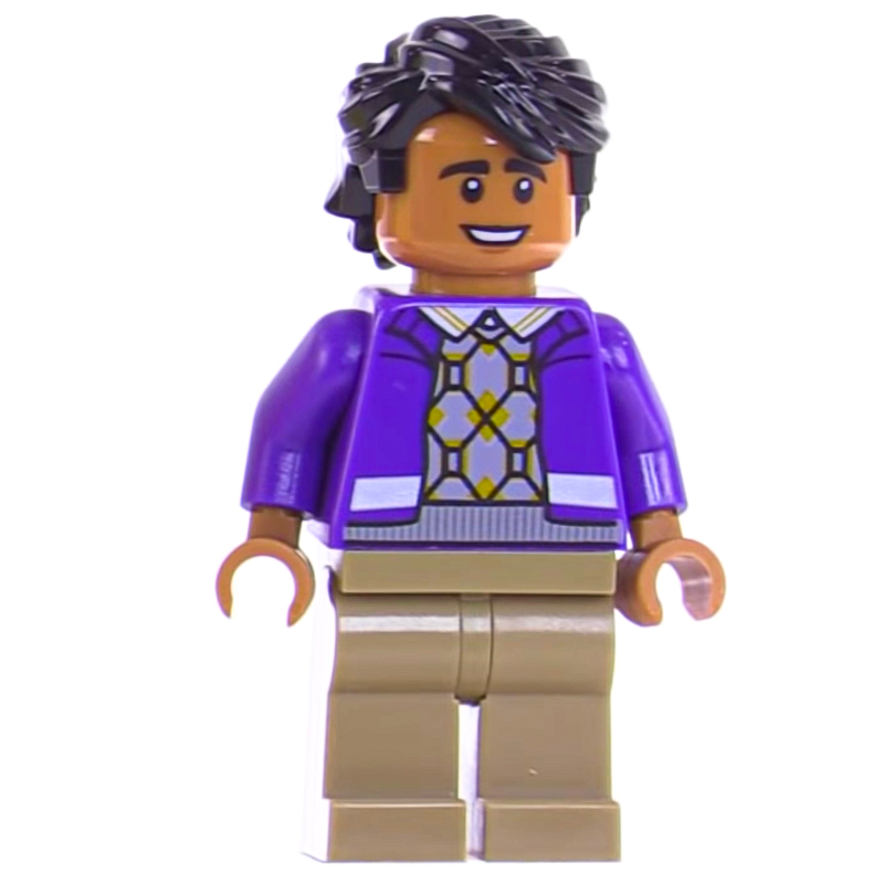 Lego Raj Koothrappali