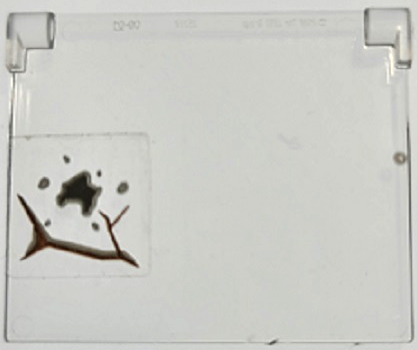 Lego Glass for Window 1 x 4 x 3 - Opening with Dark Brown Cracks and Dark Bluish Gray Mud Spots Pattern (Sticker) - Set 70424