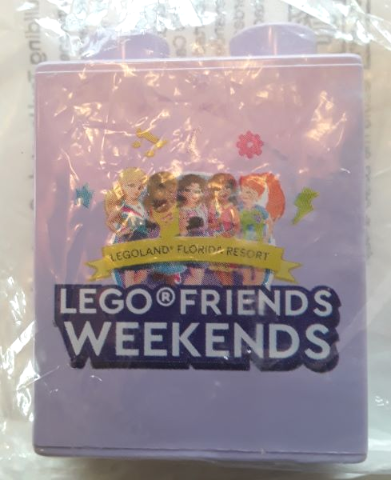 Lego Duplo, Brick 1 x 2 x 2 with LEGOLAND Florida Resort LEGO Friends Weekends 2022 Pattern