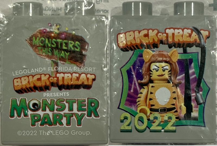 Lego Duplo, Brick 1 x 2 x 2 with LEGOLAND Florida Resort Brick or Treat Presents Monster Party 2022, Tiger Woman Minifigure Pattern / Light Bluish Gray